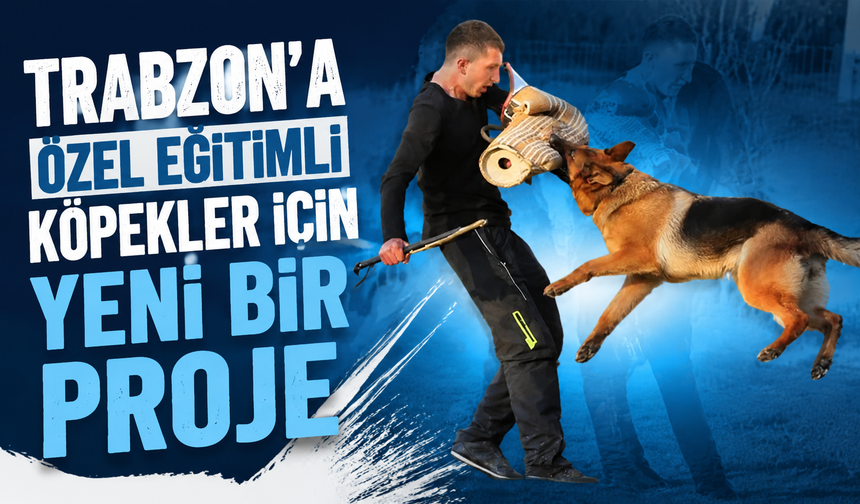 Trabzon’a özel eğitimli köpekler için yeni bir proje