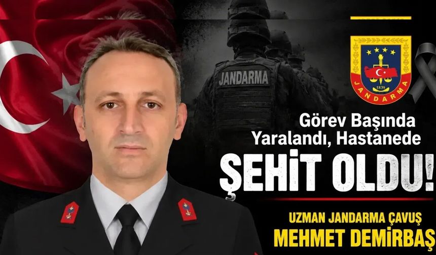 Uzman çavuş çatışmada şehit oldu!