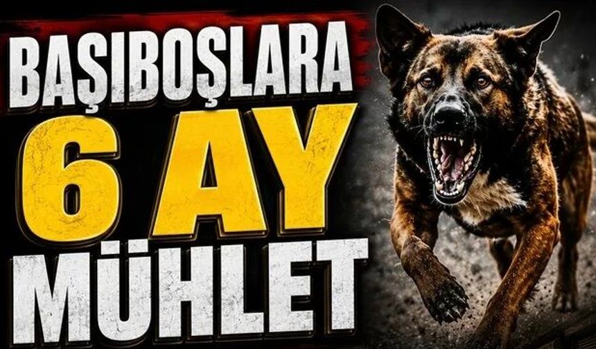 "Görevini yapmayan belediyelere acımak yok"