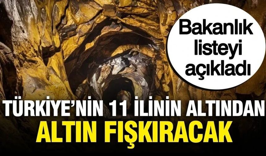 Türkiye'nin 11 ilinin altından altın çıkarılacak: Bakanlık listeyi açıkladı