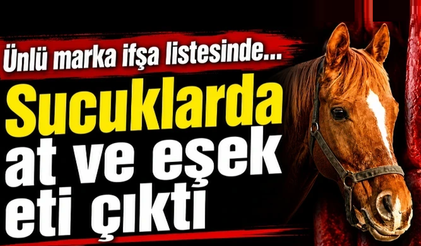 Ünlü markanın sucuklarında at ve eşek eti tespit edildi