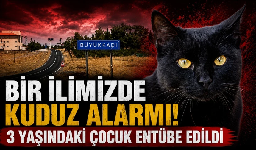 Kedinin ısırdığı 3 yaşındaki çocuk entübe edildi! Kuduz testi pozitif çıktı