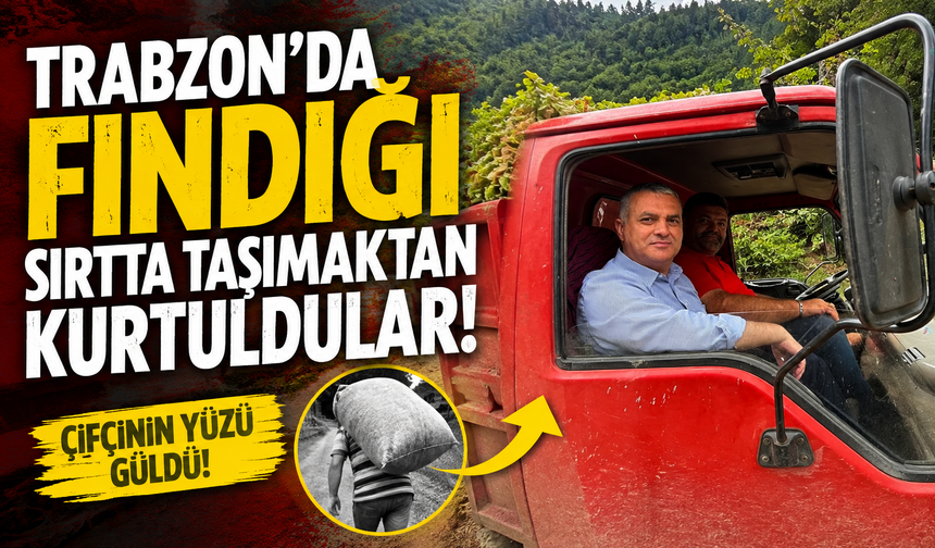 Trabzon'da fındığı sırtta taşımaktan kurtuldular!
