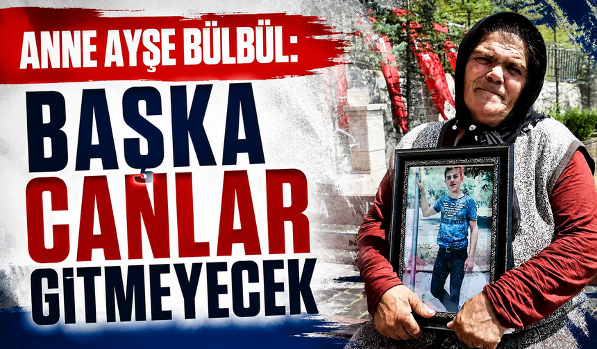 Anne Ayşe Bülbül: Başka canlar gitmeyecek