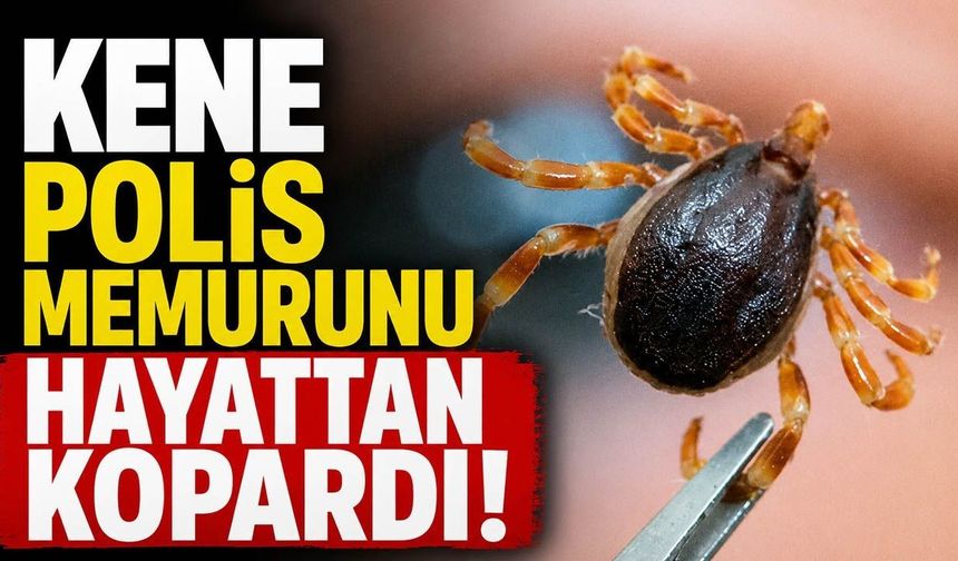 Kene polis memurunu hayattan kopardı