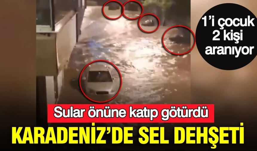 Karadeniz’de sel dehşeti: Sular önüne katıp götürdü