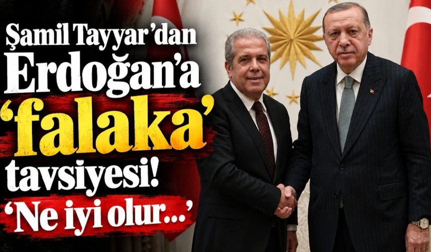 Şamil Tayyar’dan Erdoğan’a ‘falaka’ tavsiyesi! ‘Ne iyi olur…’