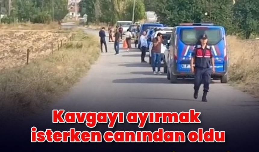 Amca ile yeğen arasındaki kavgada hayatını kaybetti