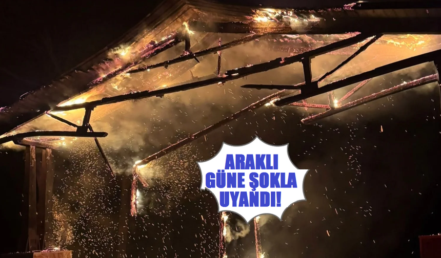 Araklı Güne Şok Görüntü İle Uyandı!