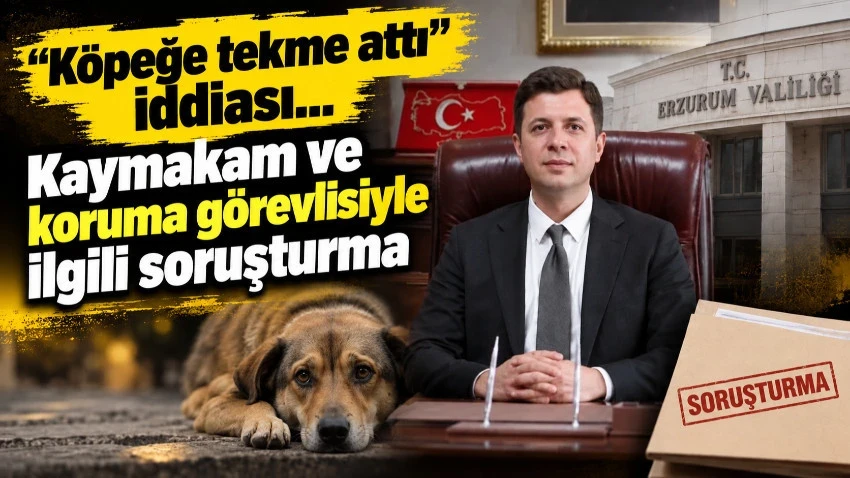 'Köpeğe tekme attı' iddiası... Kaymakam ve koruma görevlisiyle ilgili soruşturma